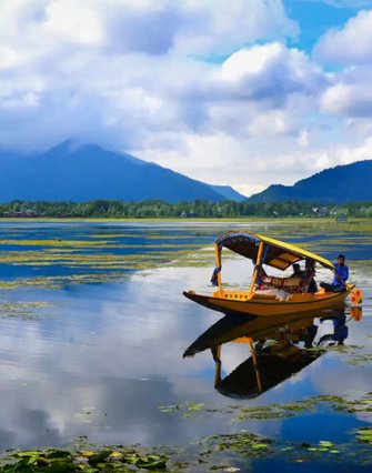 kashmir
